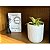 Vaso Cerâmica Decorativo com 14cm Para Plantas - MEK - Imagem 3