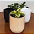 Vaso Cerâmica Decorativo com 14cm Para Plantas - MEK - Imagem 4