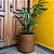 Vaso Doha Cilindro para Plantas de Polietileno - Alpe & Aritana - Imagem 3