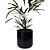 Vaso Doha Cilindro para Plantas de Polietileno - Alpe & Aritana - Imagem 11