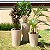Vaso Damasco Brilhante e Alto para Plantas - Alpe & Aritana - Imagem 14