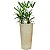 Vaso Damasco Brilhante e Alto para Plantas - Alpe & Aritana - Imagem 18