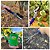 Kit de Ferramentas para Jardinagem Amadora Completo - Imagem 2