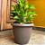Vaso Redondo de Plástico para Plantas Flores Siena 20 a 30cm - Imagem 6
