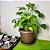 Vaso Redondo de Plástico para Plantas Flores Siena 20 a 30cm - Imagem 1
