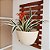 Jardim Vertical de Madeira Tratada com Vaso 61x40 cm - Imagem 5
