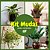Kit de Planta Natural com 4 Mudas para Decoração Interna - Imagem 6