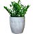 Vaso Mônaco para Plantas em Polietileno 42cm - Imagem 9