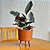 Vaso DOHA Pequeno 22cm com Tripé de Madeira para Plantas - Imagem 2