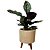 Vaso DOHA Pequeno 22cm com Tripé de Madeira para Plantas - Imagem 8