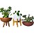 Kit 3 Vasos de Planta Para Decoração de Prateleiras - Imagem 2