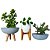 Kit 3 Vasos de Planta Para Decoração de Prateleiras - Imagem 4