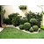 Limitador de Grama + Pedra Dolomita Branca Decoração Jardim - Imagem 10