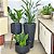 Kit 3 Vasos de Planta Decoração Externa Área Gourmet e Lazer - Imagem 5