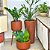 Kit 3 Vasos de Planta Decoração Externa Área Gourmet e Lazer - Imagem 1