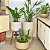 Kit 3 Vasos de Planta Decoração Externa Área Gourmet e Lazer - Imagem 4