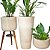 Kit 3 Vasos de Planta Decoração Externa Área Gourmet e Lazer - Imagem 10