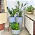 Kit 3 Vasos de Planta Decoração Externa Área Gourmet e Lazer - Imagem 2