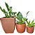 Kit 3 Vasos de Planta para Salas e Varandas Pequenas - Imagem 6
