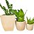 Kit 3 Vasos de Planta para Salas e Varandas Pequenas - Imagem 8