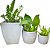 Kit 3 Vasos de Planta para Salas e Varandas Pequenas - Imagem 7