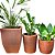 Kit 3 Vasos Médios de Plantas para Salas e Interna Externa - Imagem 6