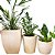 Kit 3 Vasos Médios de Plantas para Salas e Interna Externa - Imagem 7