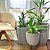 Kit 3 Vasos de Plantas Médios Para Salas e Varandas - Imagem 3