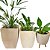 Kit 3 Vasos de Plantas Médios Para Salas e Varandas - Imagem 7