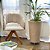 Vaso de Planta e Suporte com Roda Para Decoração Kit 2 Peças - Imagem 7