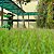 Irrigador Aspersor de Impulso Irrigação Automática de Jardim - Imagem 4