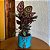 Vaso Cachepot de Mesa 16cm Redondo de Cerâmica Texturizada - Imagem 4