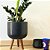 Vaso 24cm com Tripé de Madeira Para Planta - Linha DOHA - Imagem 14
