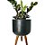 Vaso 24cm com Tripé de Madeira Para Planta - Linha DOHA - Imagem 9