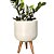 Vaso 24cm com Tripé de Madeira Para Planta - Linha DOHA - Imagem 8