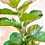 Ficus Lyrata Planta Artificial Grande Árvore Decorativa 1,5m - Imagem 7