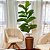 Ficus Lyrata Planta Artificial Grande Árvore Decorativa 1,5m - Imagem 5
