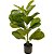 Ficus Lyrata Planta Arvore Artificial Decoração Realista - Imagem 1