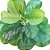 Ficus Lyrata Planta Arvore Artificial Decoração Realista - Imagem 6