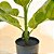 Ficus Lyrata Planta Arvore Artificial Decoração Realista - Imagem 7