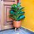 Ficus Lyrata Planta Arvore Artificial Decoração Realista - Imagem 8