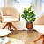 Ficus Lyrata Planta Arvore Artificial Decoração Realista - Imagem 5