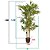 Planta Artificial Árvore Bambu Mossô Real Decoração 1,6m - Imagem 4