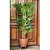 Planta Artificial Árvore Bambu Mossô Real Decoração 1,6m - Imagem 9