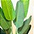 Bananeira Planta Artificial Grande Árvore Decoração de Vaso - Imagem 6