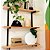 Vaso Decorativo de Luxo Folha Dolomita Enfeite Elegante 25cm - Imagem 9