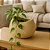 Kit de Vasos Para Plantas Oval Texturizado Para Decoração - Imagem 9
