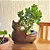 Vaso para Plantas Gato Mascote Decoração Interna Externa - Imagem 9