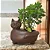 Vaso para Plantas Gato Mascote Decoração Interna Externa - Imagem 11