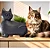 Vaso para Plantas Gato Mascote Decoração Interna Externa - Imagem 1